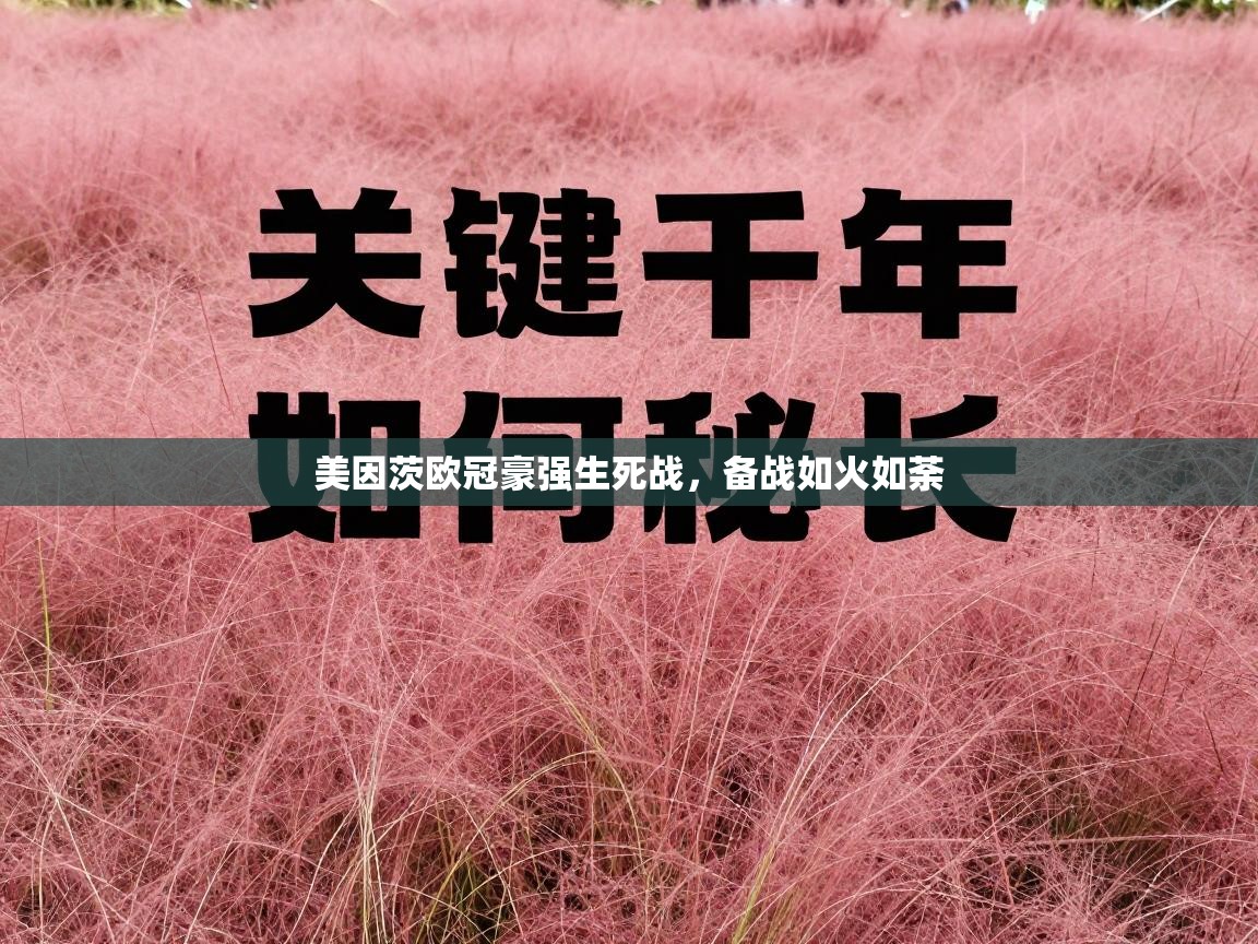 美因茨欧冠豪强生死战，备战如火如荼  第2张