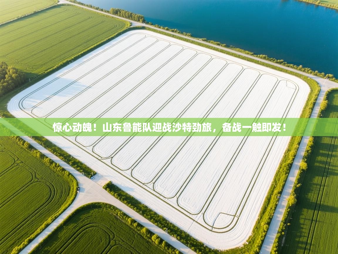 惊心动魄！山东鲁能队迎战沙特劲旅，备战一触即发！  第2张